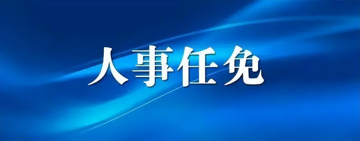 人事经理离职报告