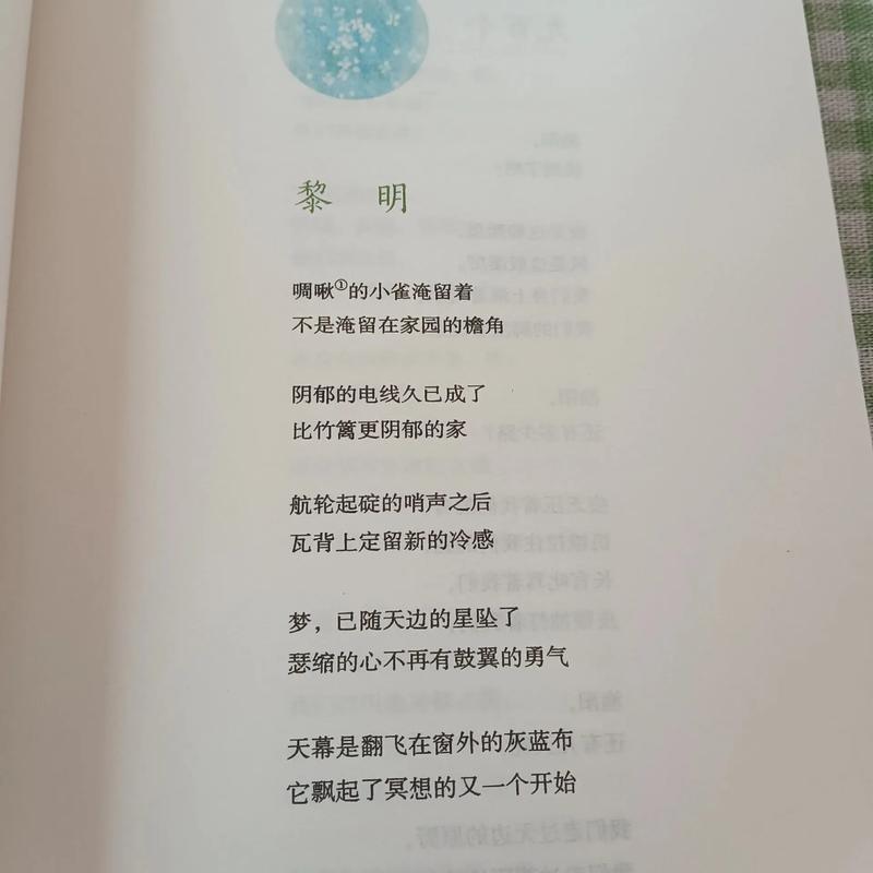 艾青诗选九年级必读书目读书笔记600字