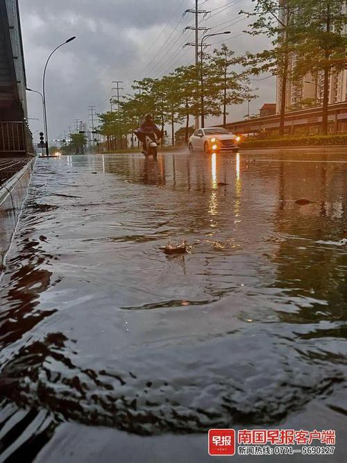 防台风暴雨安全通知