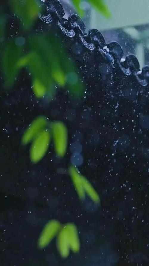 关于雨的诗句——《微雨》