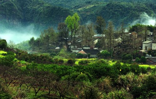 关于雨的诗句——《雨过山村》