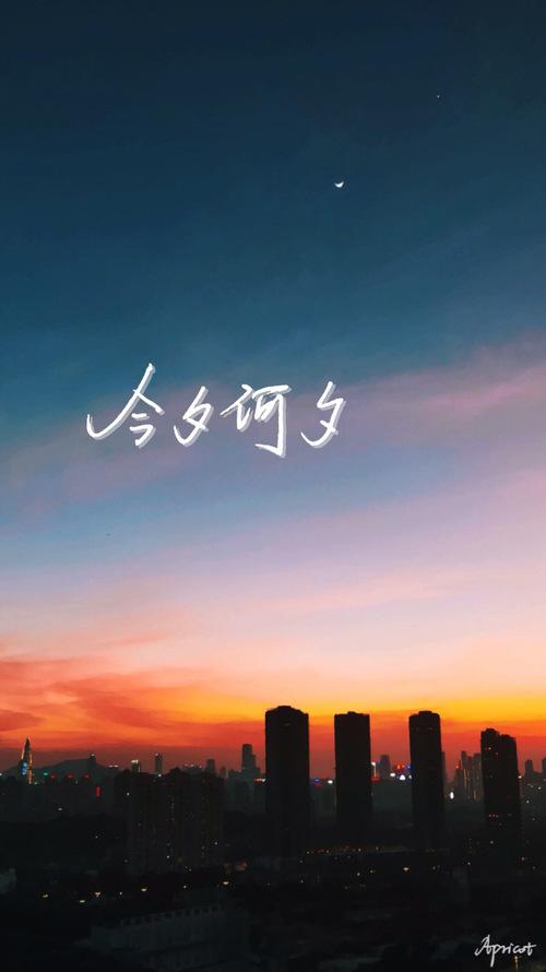 中秋节的诗句——《可怜今夕月》