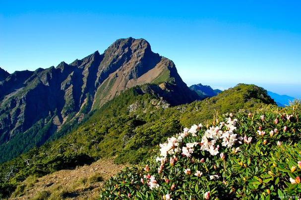 重阳节的诗句——《九日登玉山》