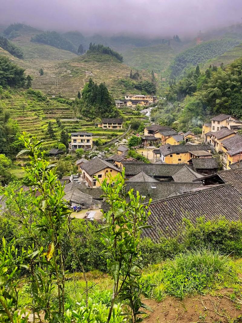 乡村教师的坚守演讲