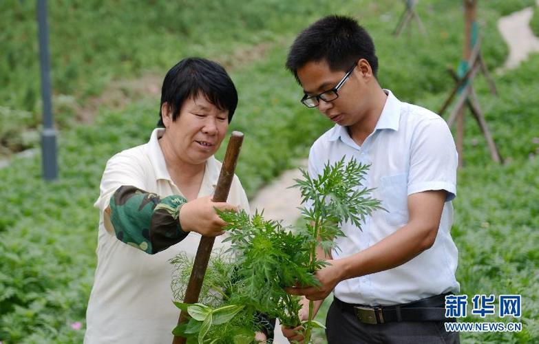 大学生村官年终述职报告参考范文