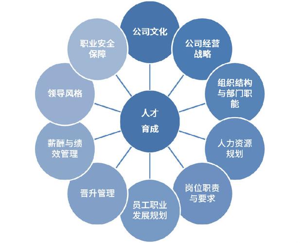 关于人才培养方案范文