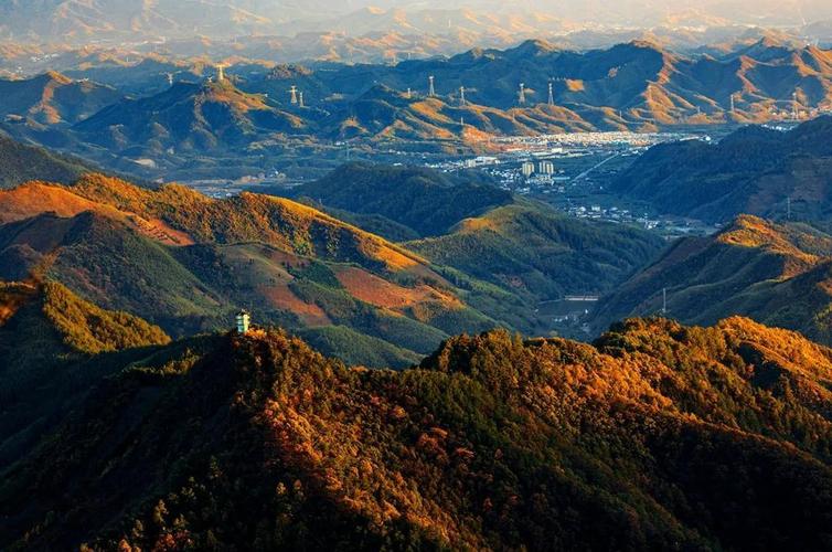 浙江天目山导游词1000字