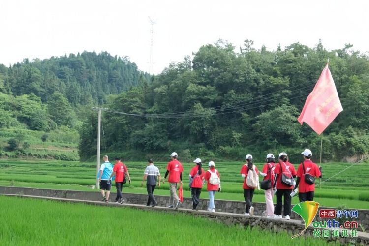 三下乡社会实践活动总结范文