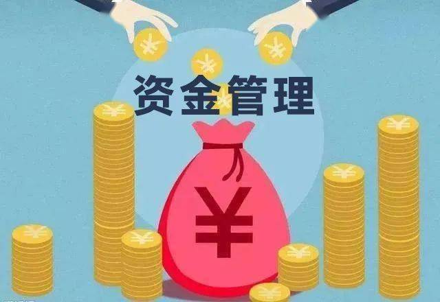 最新资金管理自查报告范文