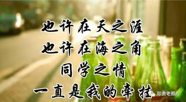 给朋友的一封信六年级400字