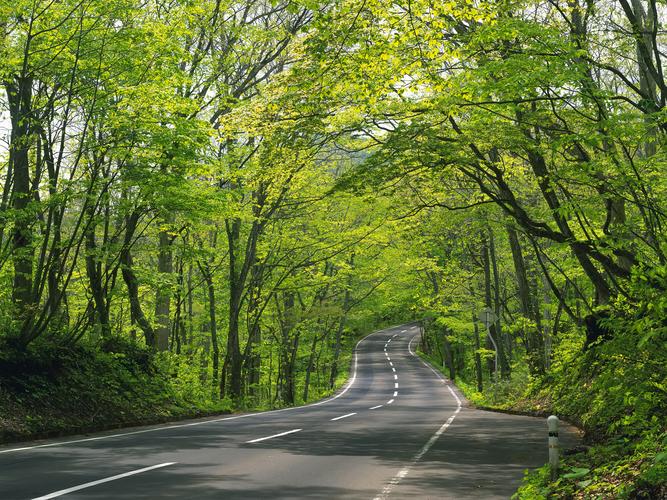 道路突发事件应急预案