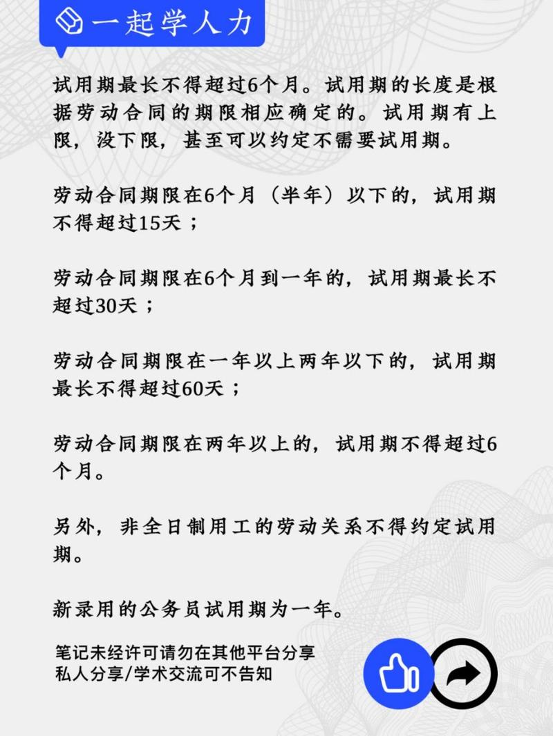 教师试用期个人总结