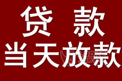 资金周转需要借款保证合同