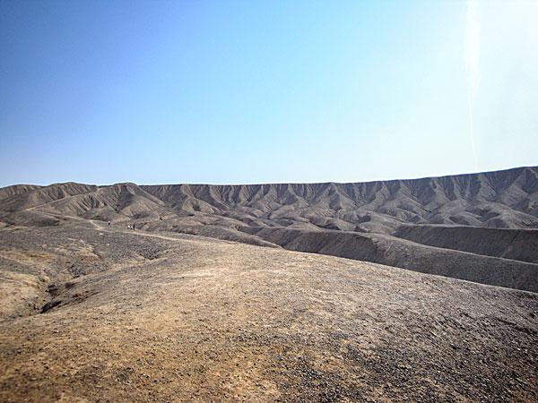 土地承包经营合同书（荒滩荒山(林地)）