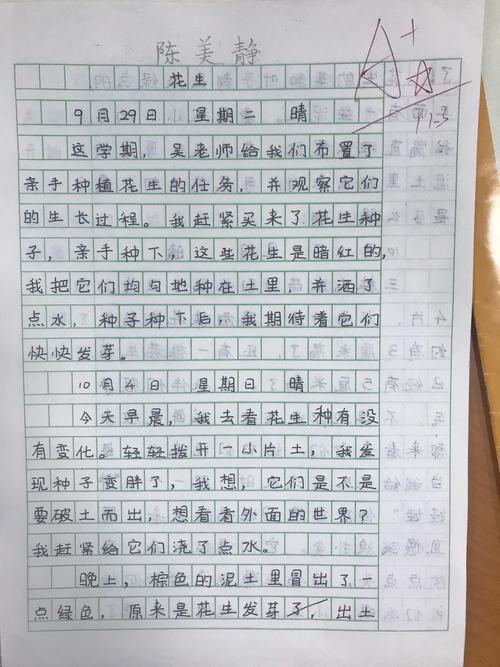 对学生习作评语