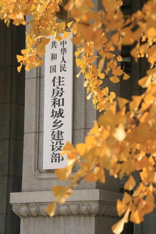 工程建设部防台风措施方案