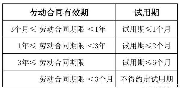 企业新员工个人试用期工作总结