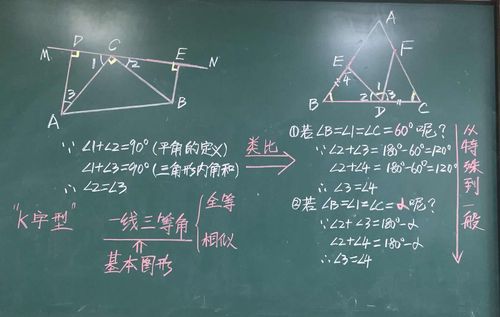 数学教学组工作总结