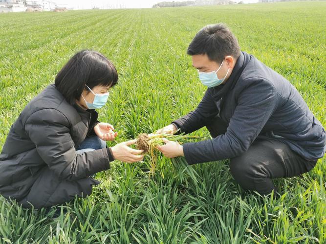 畜禽农技推广员的年终总结范文