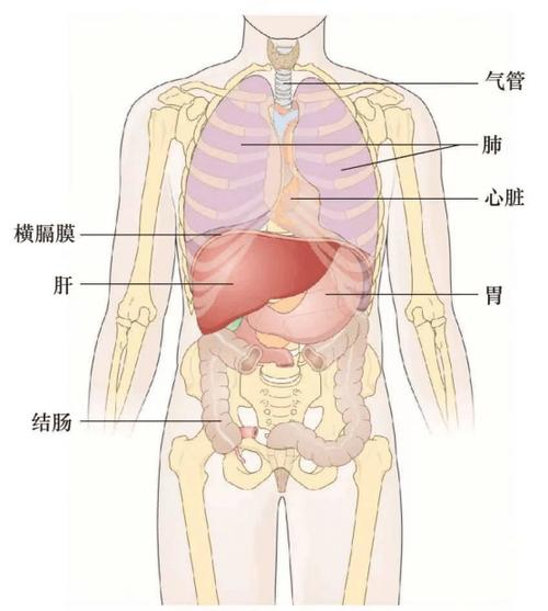 2024员工因身体原因辞职报告