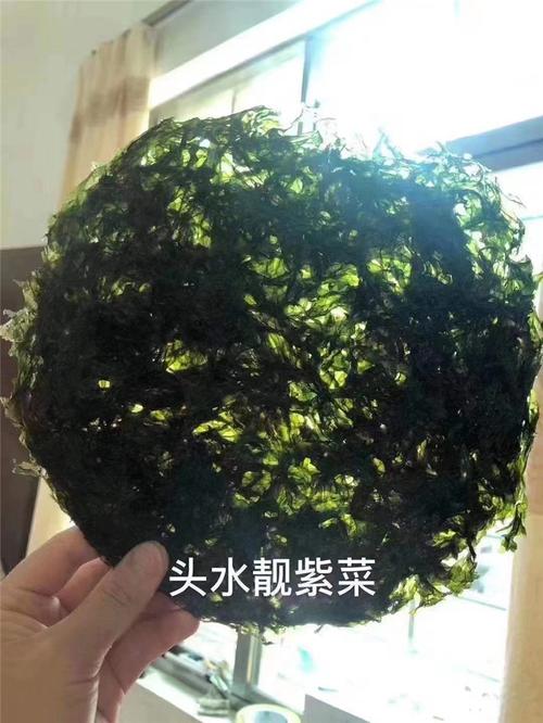 基地紫菜养殖收购协议书