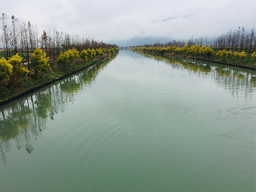 河道承包经营合同