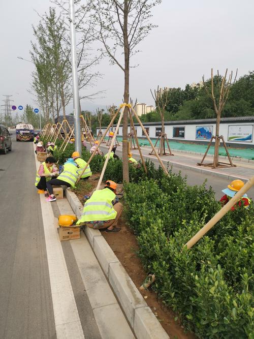 高速公路绿化工程承包合同