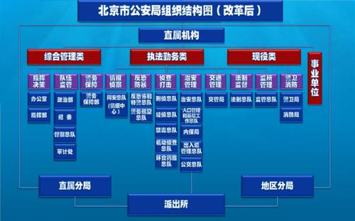 机构编制情况自查报告范文