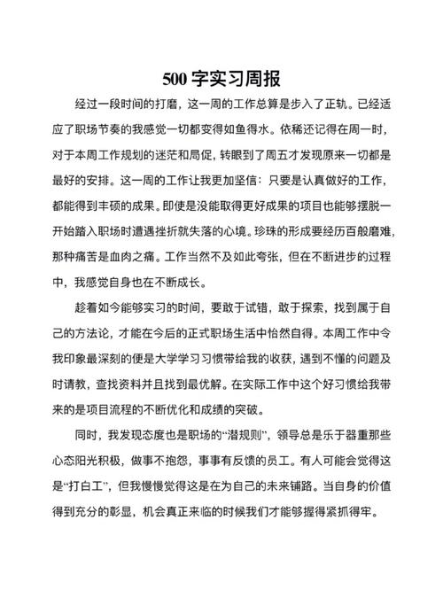 会计实习报告范文