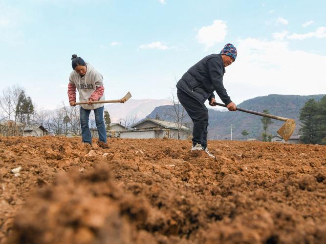 转让农村土地承包权合同