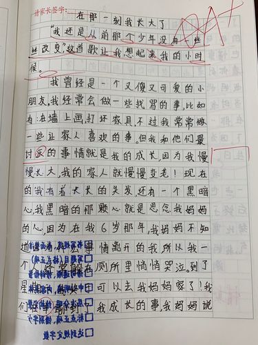 对学生习作评语合集