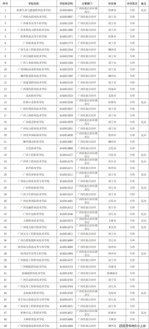 2024专科班主任工作总结