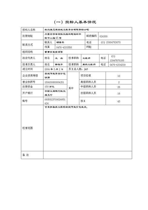 投标人个人年终总结