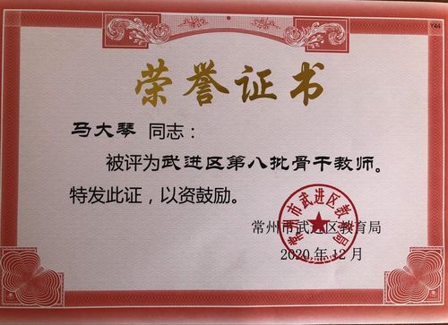 最新骨干教师返岗实践总结范文