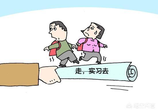 教师见习期总结