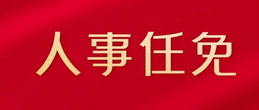 大学生人事行政部社会实践报告