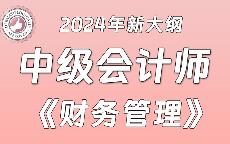 2024财务管理自查报告