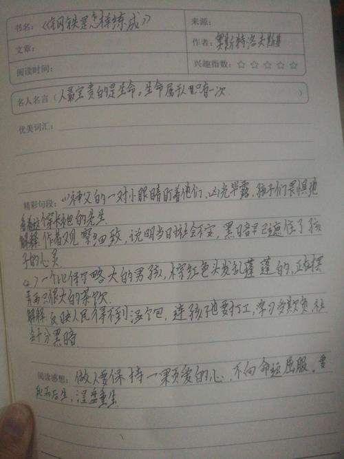 大学生实习心得感想900字