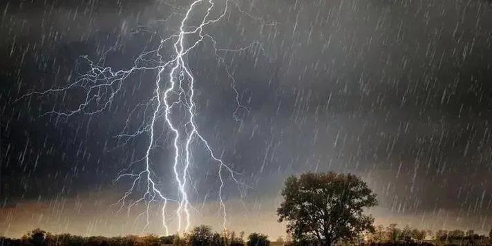 《雷雨》读书心得体会300字