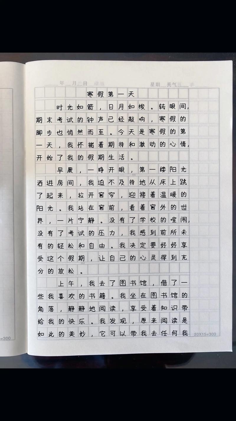 初三开学周记500字大全