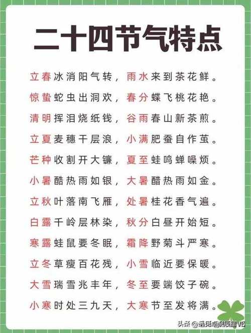 2024年小雪节气活动方案范文