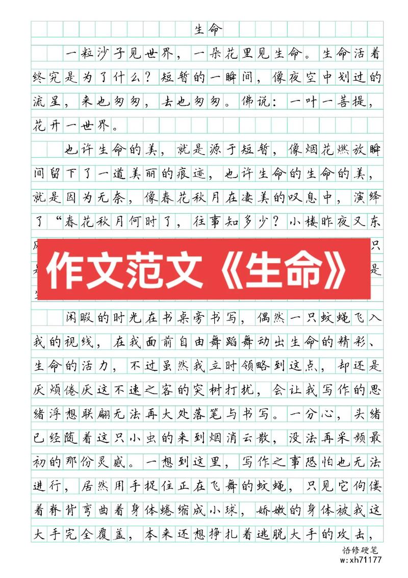 关于学会感恩的演讲范文