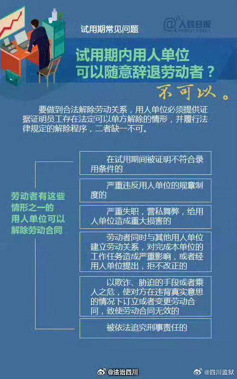 公司新员工试用期工作总结汇编