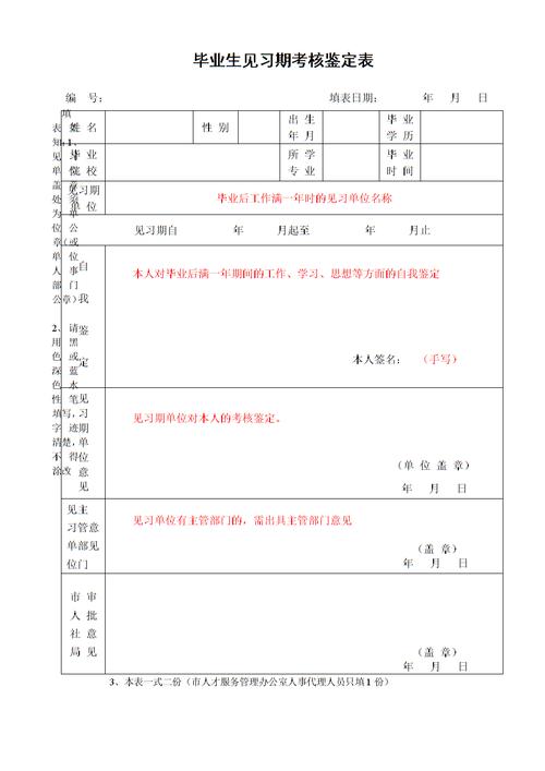 见习期个人总结