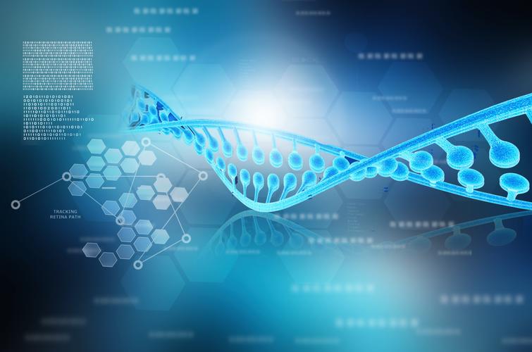 高一下学期生物教学工作总结_生物教学总结