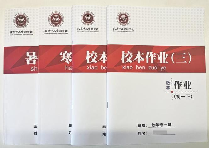 2024教师个人校本研修总结范文