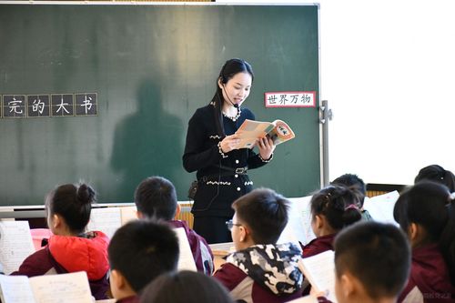 2024年小学语文教师年度总结范文