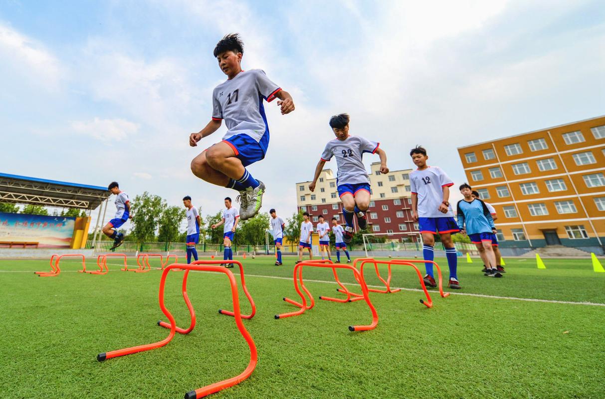 远程教育教学在体育课堂中的应用总结