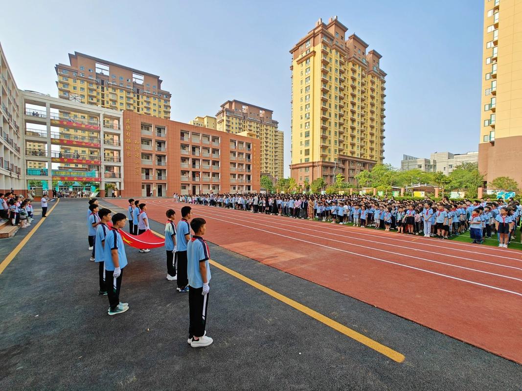 2024小学工作自查报告