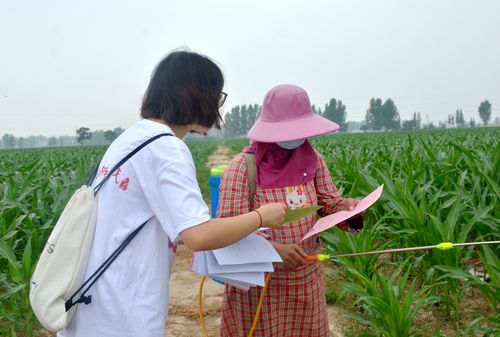 假期三下乡社会实践报告范文